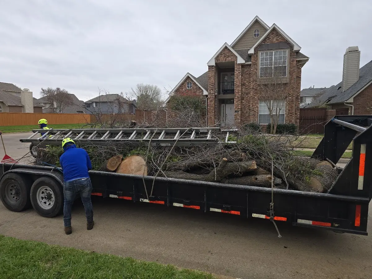 Expert Lot Clearing with proper safety equipment in Fallbrook